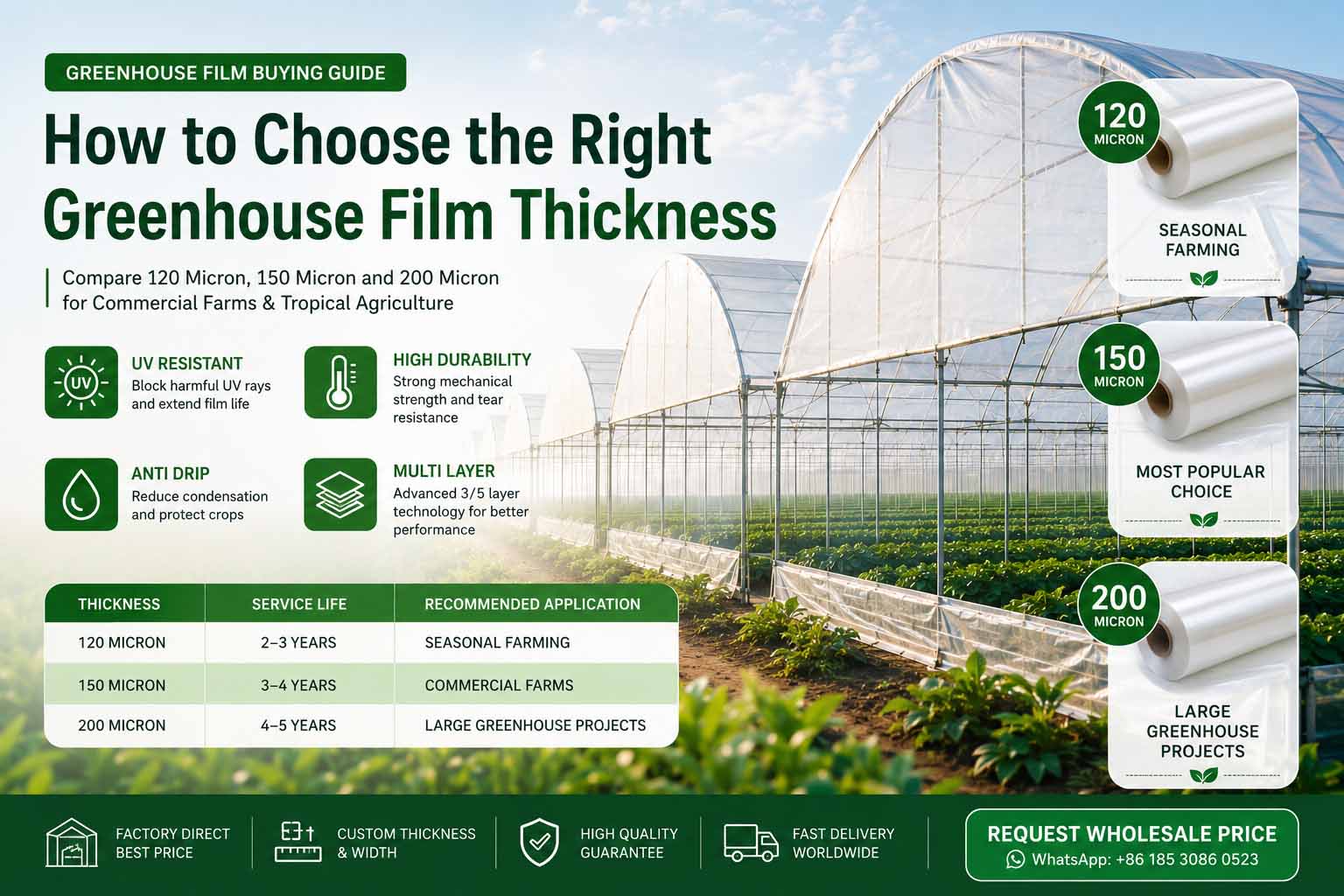 How to Choose Greenhouse Film Thickness