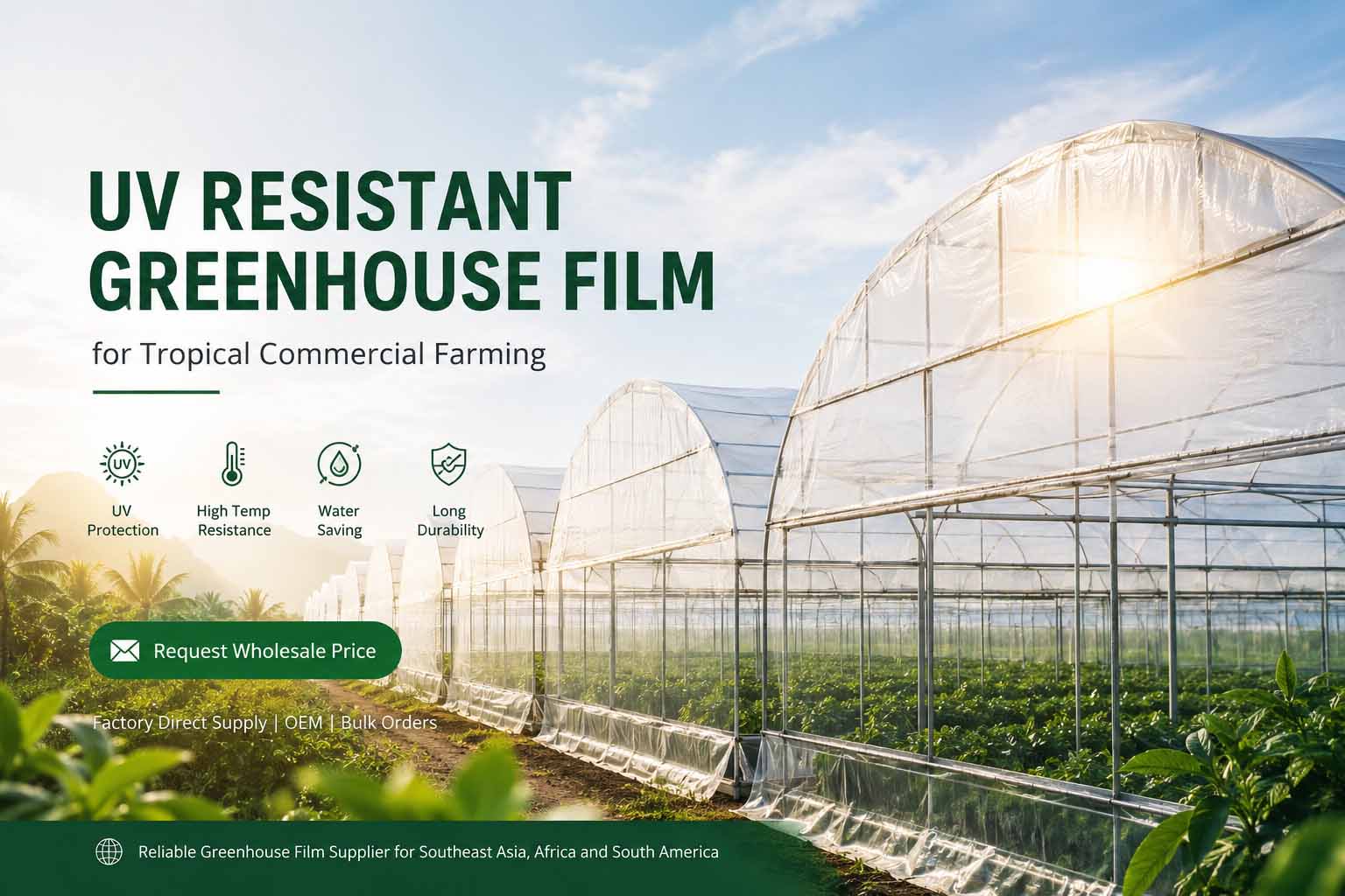 UV-Resistant Greenhouse Film for Commercial Farming