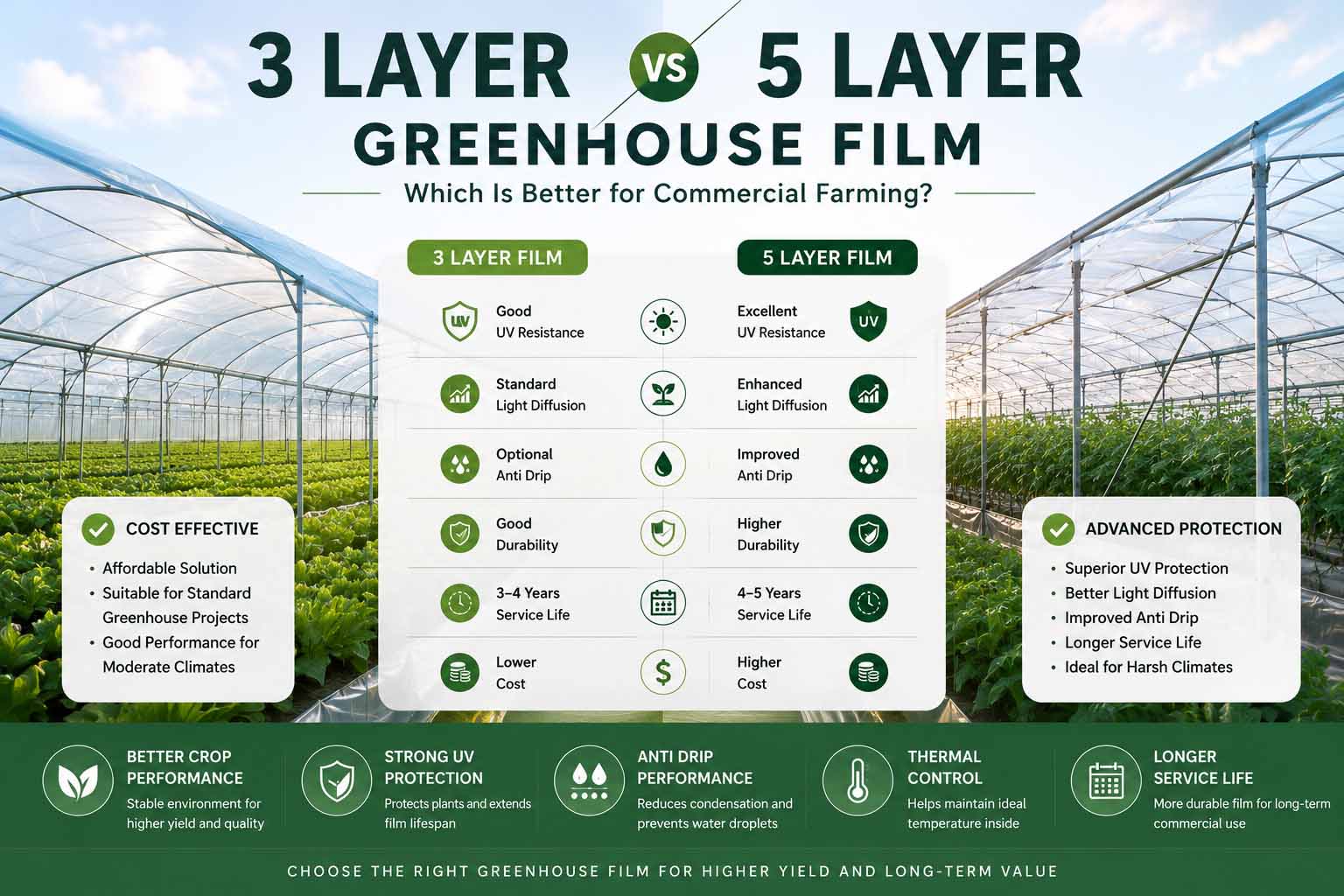 3-Layer-vs-5-Layer-Greenhouse-Film-Which-Is-Better-for-Commercial-Farming